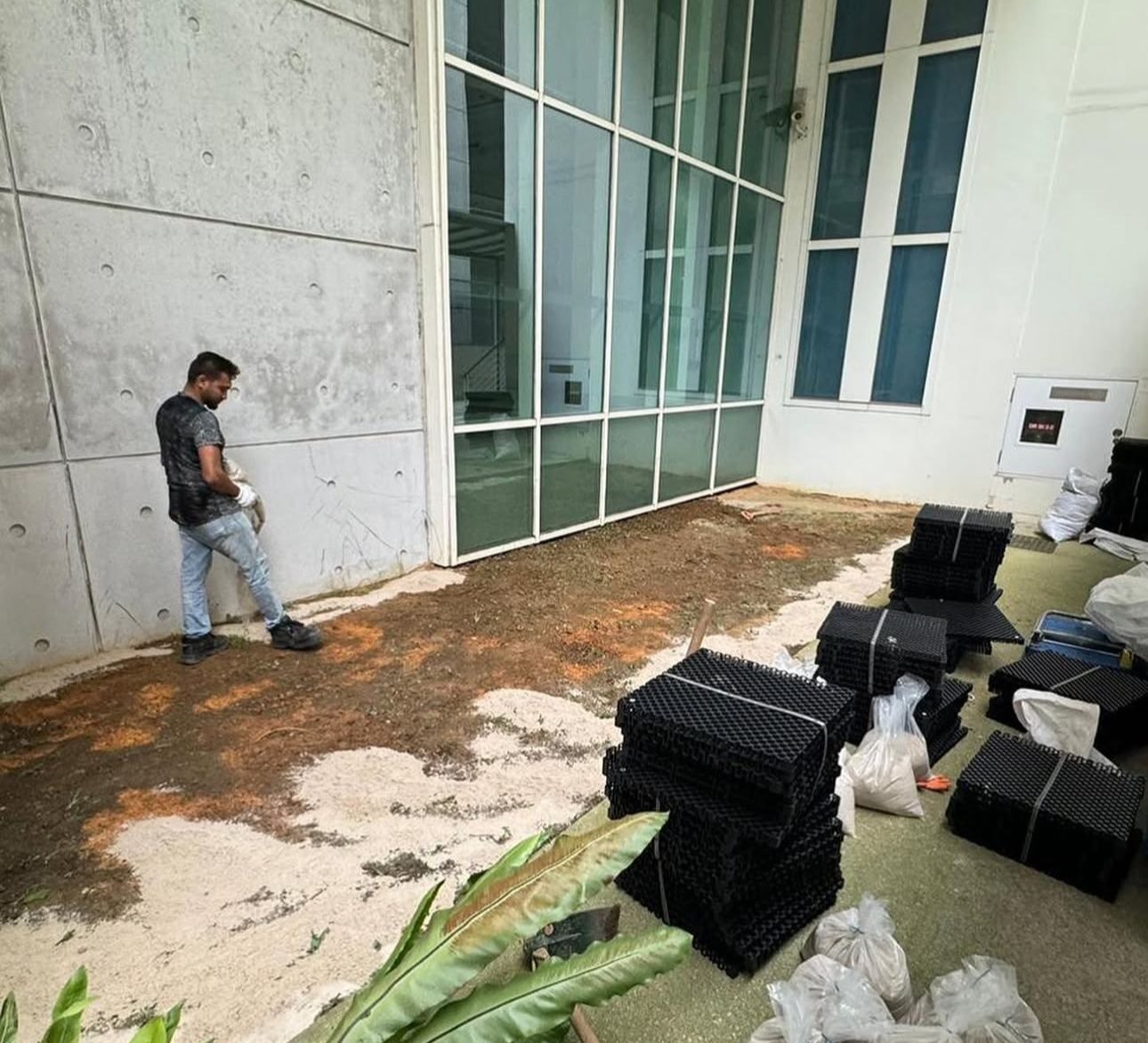 Plants Removal