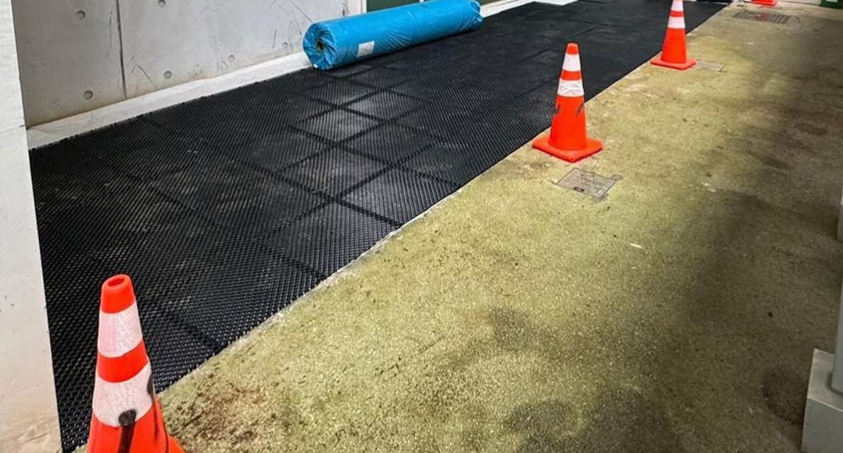 plants removal
